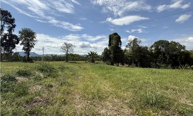 Se Venden Lotes Campestres Parcelacion Panaca Quimbaya