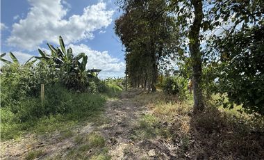Se Venden Lotes Campestres Parcelacion Panaca Quimbaya