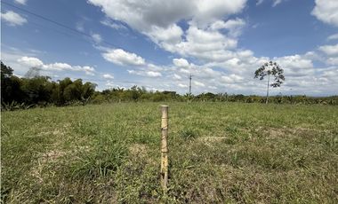 Se Venden Lotes Campestres Parcelacion Panaca Quimbaya