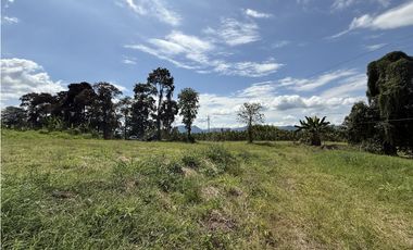 Se Venden Lotes Campestres Parcelacion Panaca Quimbaya