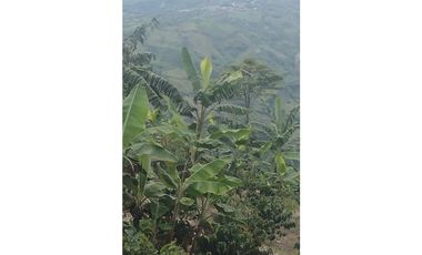 FINCA EN VENTA EN FILADELFIA CALDAS | FINCAS EN VENTA