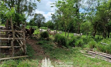 Venta 5 hectareas en Gomez de San Andres