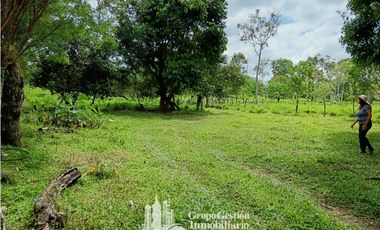 Venta 5 hectareas en Gomez de San Andres