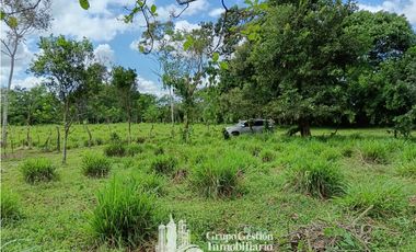 Venta 5 hectareas en Gomez de San Andres