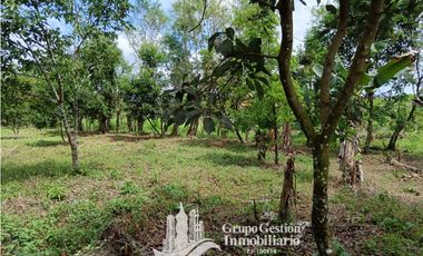 Venta 5 hectareas en Gomez de San Andres