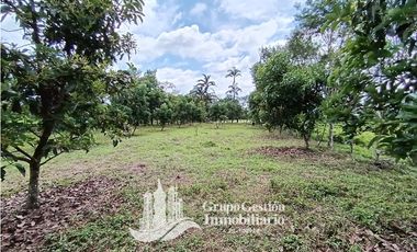 Venta 5 hectareas en Gomez de San Andres