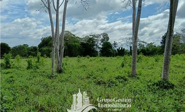 Venta 5 hectareas en Gomez de San Andres