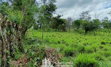 Venta 5 hectareas en Gomez de San Andres