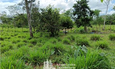 Venta 5 hectareas en Gomez de San Andres