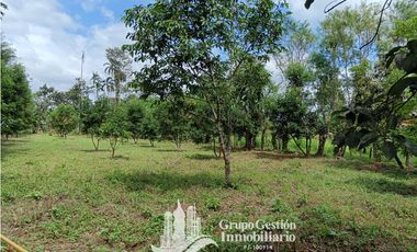 Venta 5 hectareas en Gomez de San Andres