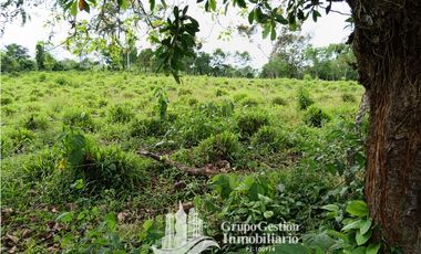 Venta 5 hectareas en Gomez de San Andres