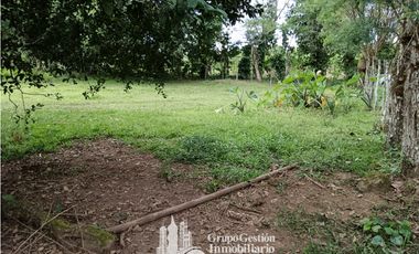 Venta 5 hectareas en Gomez de San Andres