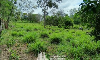 Venta 5 hectareas en Gomez de San Andres