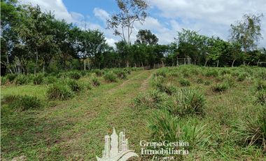 Venta 5 hectareas en Gomez de San Andres