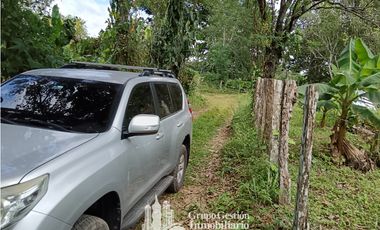 Venta 5 hectareas en Gomez de San Andres