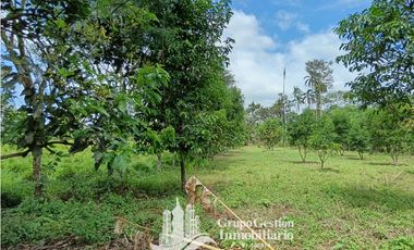 Venta 5 hectareas en Gomez de San Andres