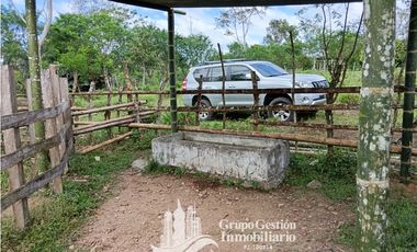 Venta 5 hectareas en Gomez de San Andres