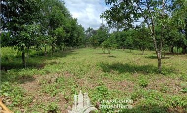 Venta 5 hectareas en Gomez de San Andres