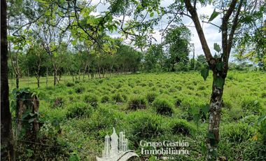 Venta 5 hectareas en Gomez de San Andres