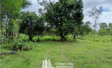 Venta 5 hectareas en Gomez de San Andres