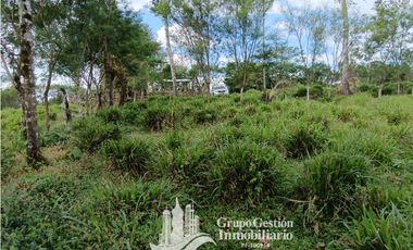 Venta 5 hectareas en Gomez de San Andres