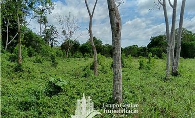 Venta 5 hectareas en Gomez de San Andres