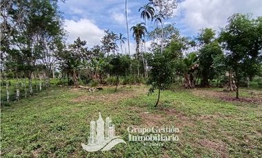 Venta 5 hectareas en Gomez de San Andres