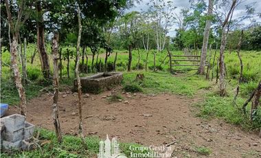 Venta 5 hectareas en Gomez de San Andres