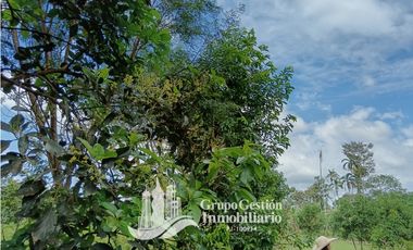 Venta 5 hectareas en Gomez de San Andres