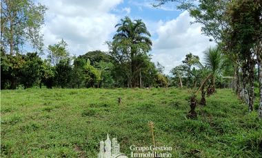 Venta 5 hectareas en Gomez de San Andres