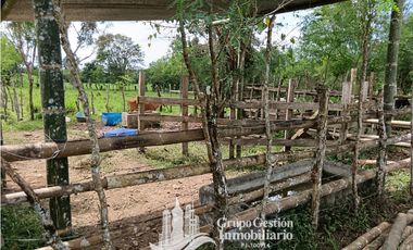 Venta 5 hectareas en Gomez de San Andres