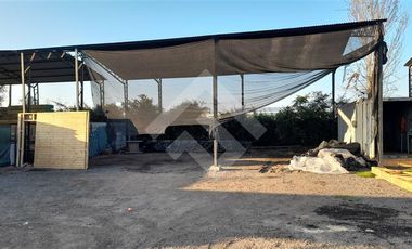 Sitio en Arriendo en Cruce Cervera