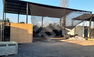 Sitio en Arriendo en Cruce Cervera