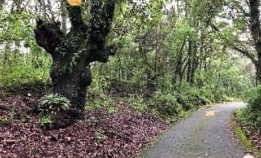 Terreno Residencial en Venta – 4,120 m² en Tlalpuente, CDMX