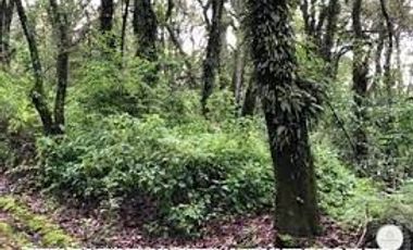 Terreno Residencial en Venta – 4,120 m² en Tlalpuente, CDMX