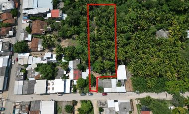 Excelente Terreno en El Coacoyul, Gro.  Solo Contado 5-9-11