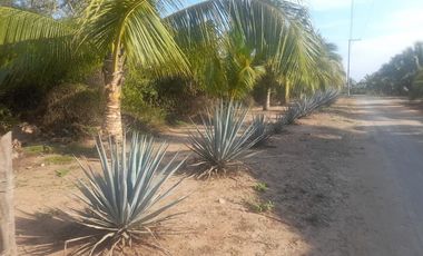 Playa Saladita Guerrero