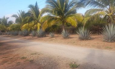 Playa Saladita Guerrero