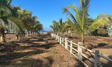 Playa Saladita Guerrero
