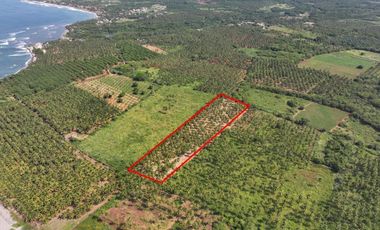 Parcela en Los Llanos Saladita Zihuatanejo