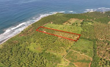 Parcela en Los Llanos Saladita Zihuatanejo