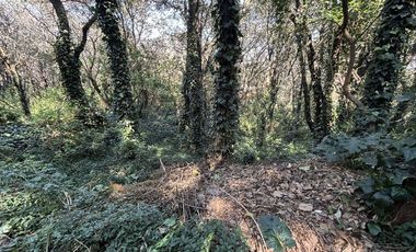 TLALPUENTE, TERRENO  LISTO PARA CONSTRUIR