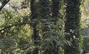 TLALPUENTE, TERRENO  LISTO PARA CONSTRUIR