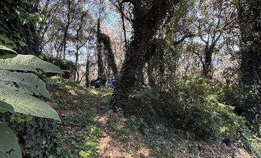 TLALPUENTE, TERRENO  LISTO PARA CONSTRUIR