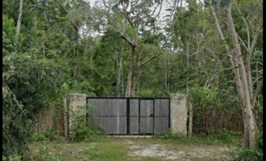 Terreno en venta en Muyil, Quitana Roo.