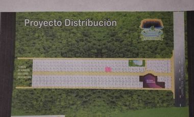 Terreno en venta en Muyil, Quitana Roo.
