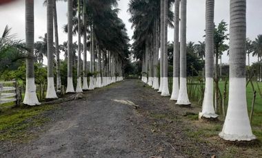 Casa en Venta, Cosamaloapan, Amatitlan, Veracruz