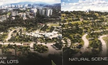 TERRENO EN BOSQUE REAL EXCELENTE PRECIO