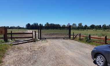 VENTA PARCELA 5000MTS Osorno