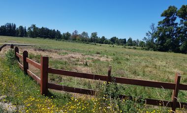 VENTA PARCELA 5000MTS Osorno